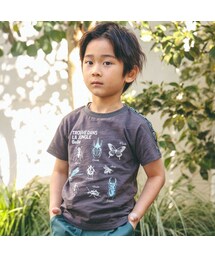 BeBe | スラブ天竺昆虫図鑑半袖Tシャツ(80~150cm)(Tシャツ/カットソー)