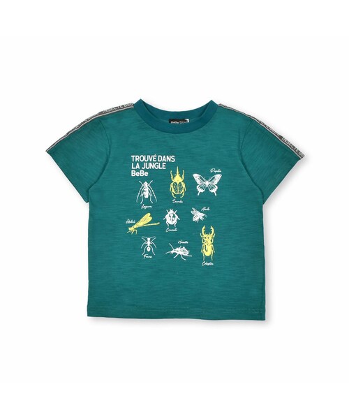 BeBe（ベベ）の「スラブ天竺昆虫図鑑半袖Tシャツ(80~150cm)（Tシャツ/カットソー・キッズ・ブラック/グリーン・110）」の2枚目の写真