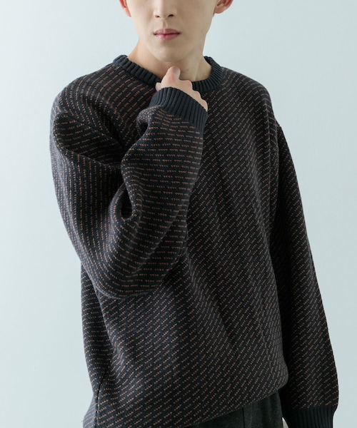 ITEMS URBANRESEARCH(アイテムズ アーバンリサーチ)の「マシンウォッシャブル バーズアイ クルーニット(ニット/セーター・メンズ・BEG/NVY/BLK・M/L)」の19枚目の写真