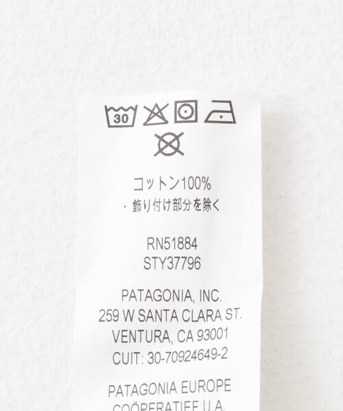 EKAL（エカル）の「patagonia　Hike-A-Bike Organic T-shirts（Tシャツ/カットソー・メンズ・BNLG/SBDY・S/M/L）」の14枚目の写真