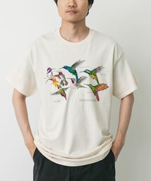 URBAN RESEARCH DOORS（アーバンリサーチドアーズ）の「LIBERTY GRAPHICS　Hummingbirds（Tシャツ/カットソー・メンズ）」