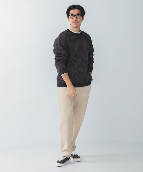 ITEMS URBANRESEARCH(アイテムズ アーバンリサーチ)の「マシンウォッシャブル バーズアイ クルーニット(ニット/セーター・メンズ・BEG/NVY/BLK・M/L)」の17枚目の写真