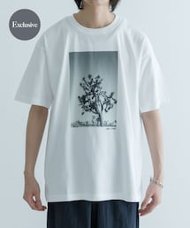 URBAN RESEARCH | 『別注』semoh×URBAN RESEARCH NINA-1(Tシャツ/カットソー)