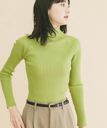 ITEMS URBANRESEARCH | 『洗濯可』モチモチハイネックリブニット(ニット/セーター)