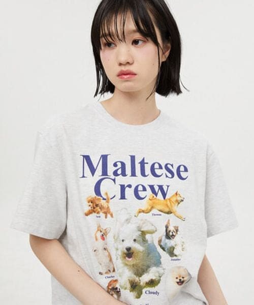 ALAND（エーランド）の「再入荷Wai Kei／MalteseCrew Tシャツ（）」 - WEAR
