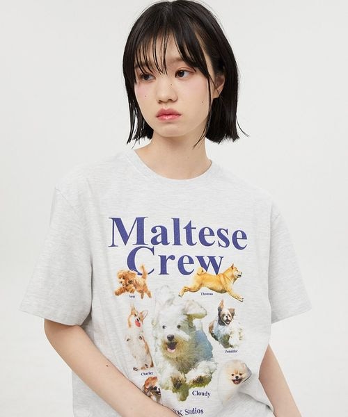 ALAND（エーランド）の「再入荷Wai Kei／MalteseCrew Tシャツ（）」 - WEAR
