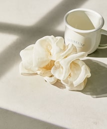 シアークリップ