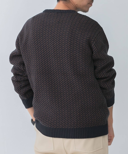 ITEMS URBANRESEARCH(アイテムズ アーバンリサーチ)の「マシンウォッシャブル バーズアイ クルーニット(ニット/セーター・メンズ・BEG/NVY/BLK・M/L)」の16枚目の写真