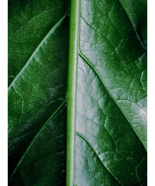 Llife(ライフ)の「Llife RIPPLE CHAIN RING(リング・メンズ・シルバー・#14/#16/#18)」の5枚目の写真