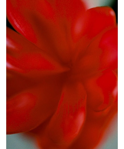 Llife(ライフ)の「Llife 14KGP ONDULATION BANGLE(バングル/リストバンド・メンズ・ゴールド・F)」の7枚目の写真