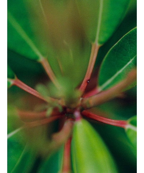 Llife(ライフ)の「Llife ANNEAUX NECKLACE(ネックレス・メンズ・シルバー・F)」の6枚目の写真