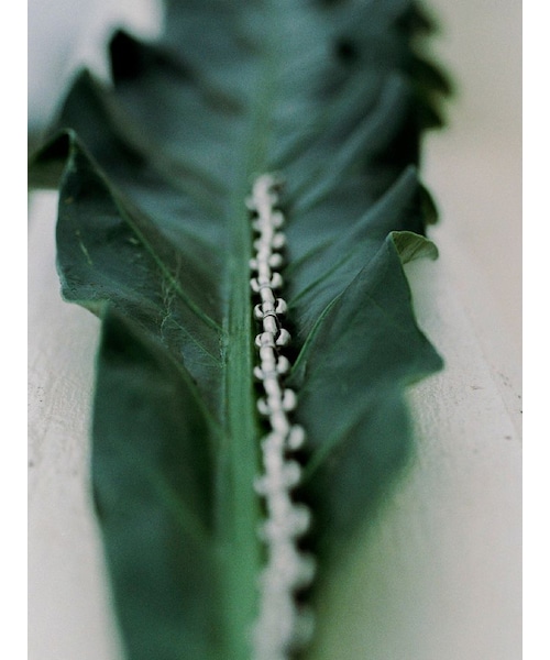 Llife(ライフ)の「Llife ANNEAUX NECKLACE(ネックレス・メンズ・シルバー・F)」の9枚目の写真