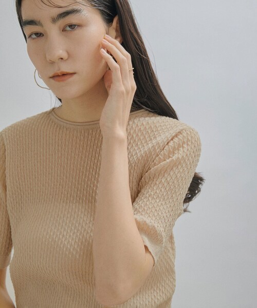 ADAM ET ROPE'（アダムエロペ）の「【公式サイト限定】【BATONER for SALON】SEE THROUGH T-SHIRTS（Tシャツ/カットソー・レディース・ベージュ/ネイビー/サックス・F）」の13枚目の写真