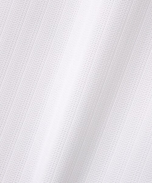 GARDEN（ガーデン）の「裏カノコストライプ調半袖ポロシャツ（トップス・メンズ・ホワイト/ダークネイビー/オレンジ・4/5/6）」の2枚目の写真