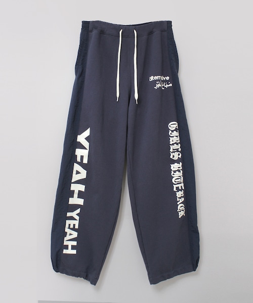 岩崎 写真照明用アイランプハニーソフト 超散光形 PSR-500WD ２個口 岩崎 写真照明用アイランプハニーソフト 超散光形 PSR-500WD 2個口