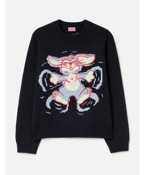 KENZO（ケンゾー）の「'Kenzo Winter Holidays' Embroidered Jumper
