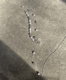 Lattice | 【LesSignes】パールネックレス(ネックレス)