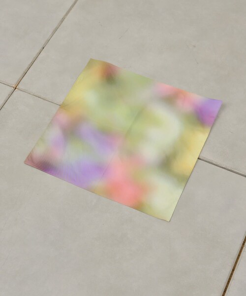 Kastane(カスタネ)の「【WHIMSIC】トゥルーネイチャープリントバンダナ(バンダナ/スカーフ・レディース・ブルー/レッド/イエロー・ONE)」の2枚目の写真