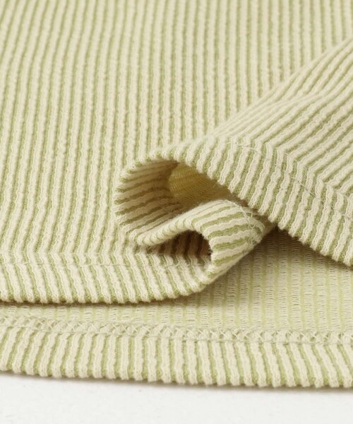 ITEMS URBANRESEARCH（アイテムズ アーバンリサーチ）の「チビテレコTシャツ（Tシャツ/カットソー・レディース・GRN/WHT/CHA・FREE）」の19枚目の写真