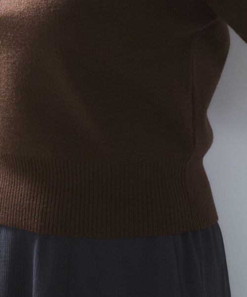 VIS（ビス）の「ダブルカラーポロトップス（ポロシャツ・レディース・チャコール/キナリ/ブラウン・F）」の22枚目の写真