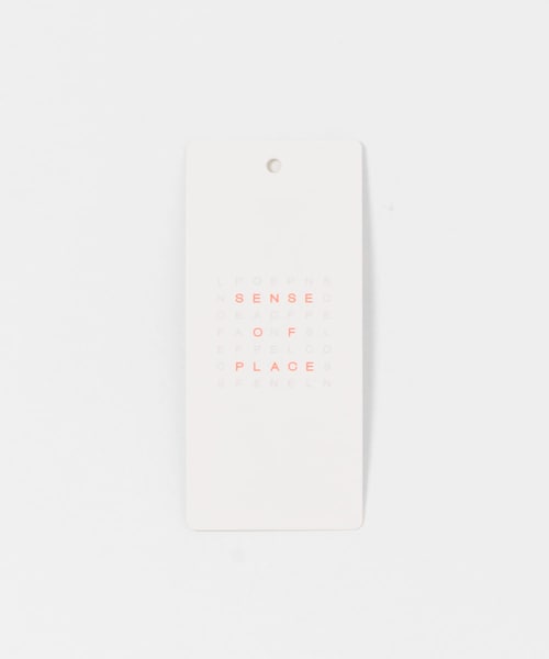 SENSE OF PLACE by URBAN RESEARCH（センスオブプレイスバイアーバンリサーチ）の「レギュラーカラーネクタイシャツ（シャツ/ブラウス・メンズ・CHARCOAL/STRIPE/CHECK・M/L）」の14枚目の写真