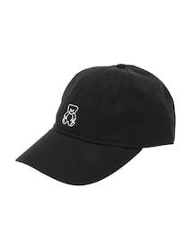 ２０１７ｈｂツイルＣＡＰ