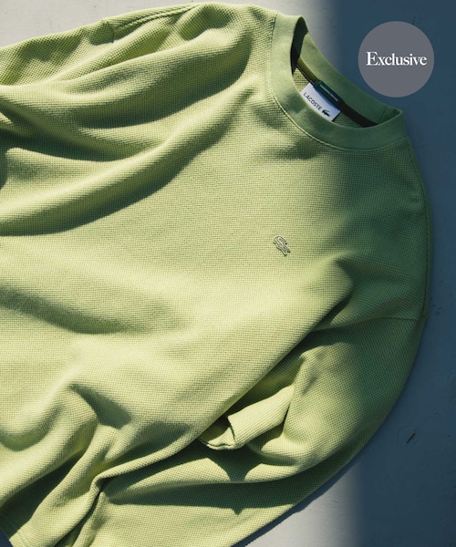 URBAN RESEARCH DOORS（アーバンリサーチドアーズ）の「『別注』LACOSTE×DOORS　THICK PIQUE ROUND LONG-SLEEVE（Tシャツ/カットソー・メンズ・HAMMAM/ABYSS BLUE/BIRCH/BLACK BIRD・3/4/5）」の2枚目の写真