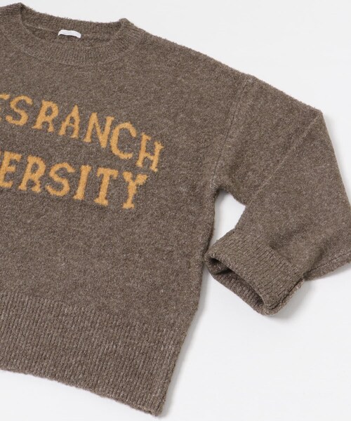 ITEMS URBANRESEARCH（アイテムズ アーバンリサーチ）の「ブークレビッグロゴニット（ニット/セーター・レディース・BRN/L.GRAY/MNT・FREE）」の18枚目の写真