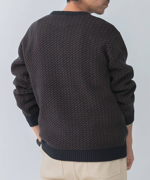 ITEMS URBANRESEARCH(アイテムズ アーバンリサーチ)の「マシンウォッシャブル バーズアイ クルーニット(ニット/セーター・メンズ・BEG/NVY/BLK・M/L)」の16枚目の写真