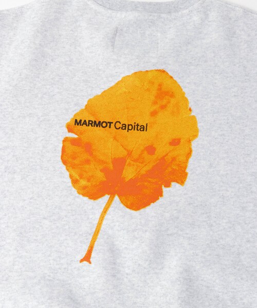 URBAN RESEARCH（アーバンリサーチ）の「MARMOT CAPITAL　LEAF CREW SWEAT（スウェット・レディース・GRAY・M）」の6枚目の写真