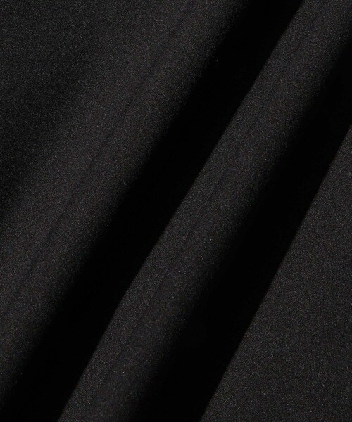 ADAM ET ROPE'（アダムエロペ）の「【Needles for WILD LIFE TAILOR】 EX Track Pant - Loft Insulation（その他パンツ・メンズ・ブラック・L/M/S/XS）」の21枚目の写真