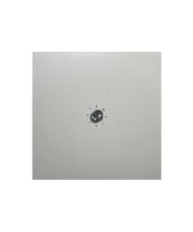 bonjour records（ボンジュールレコーズ）の「Thomas Roussel/トーマス・ルーセル Late Metal（レコード）」