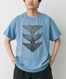 URBAN RESEARCH DOORS | LIBERTY GRAPHICS　Whale Tails(Tシャツ/カットソー)