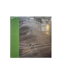 bonjour records（ボンジュールレコーズ）の「NxWorries/ノー・ウォーリーズ Why Lawd?（レコード）」