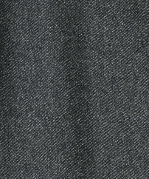 ADAM ET ROPE'（アダムエロペ）の「【HEUGN】Hunt（その他アウター・メンズ・グレー・2/3）」の12枚目の写真