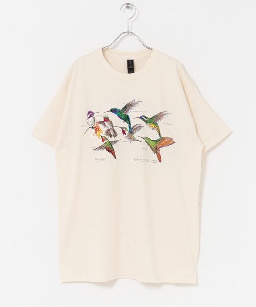 URBAN RESEARCH DOORS（アーバンリサーチドアーズ）の「LIBERTY GRAPHICS　Hummingbirds（Tシャツ/カットソー・メンズ・NATURAL・L/XL）」の7枚目の写真