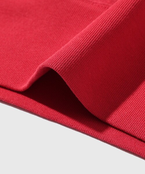 ADAM ET ROPE'(アダムエロペ)の「【AURALEE/オーラリー】HIGH TWIST LIGHT SWEAT P/O(スウェット・メンズ・ブラック/レッド・3/4/5)」の13枚目の写真