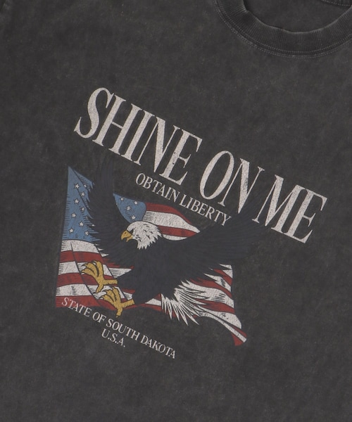 ITEMS URBANRESEARCH(アイテムズ アーバンリサーチ)の「パウダー加工 天竺半袖Tシャツ(Tシャツ/カットソー・メンズ・American/Lettered/Embroidery・M/L)」の6枚目の写真