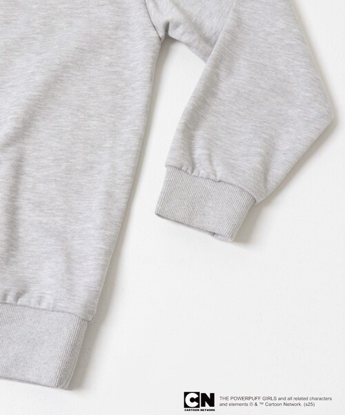 SENSE OF PLACE by URBAN RESEARCH（センスオブプレイスバイアーバンリサーチ）の「『別注』PPG / SENSE OF PLACE ルーズスウェット（スウェット・レディース・NAVY/GRAY・one）」の14枚目の写真