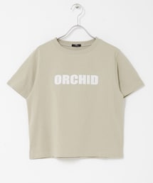 ITEMS URBANRESEARCH | フロッキープリントTシャツ(Tシャツ/カットソー)