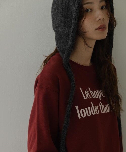 URBAN RESEARCH Sonny Label（アーバンリサーチサニーレーベル）の「メッセージロゴスウェットプルオーバー（スウェット・レディース・チャコール/オートミール/チェリーブラウン・Free）」の14枚目の写真