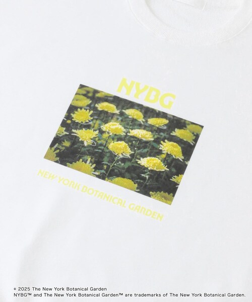 SENSE OF PLACE by URBAN RESEARCH（センスオブプレイスバイアーバンリサーチ）の「NYBG　クルーネックルーズスウェットB（スウェット・メンズ・BLUE/WHITE/BLACK・M/L）」の13枚目の写真