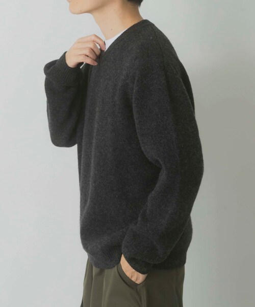 ITEMS URBANRESEARCH（アイテムズ アーバンリサーチ）の「タスマニア メリノウール100 Vネックニット（ニット/セーター・メンズ・WHT/BEG/MTD/DARK BLUE/BGD/CHA・M/L）」の19枚目の写真