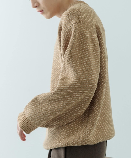 ITEMS URBANRESEARCH(アイテムズ アーバンリサーチ)の「マシンウォッシャブル バーズアイ クルーニット(ニット/セーター・メンズ・BEG/NVY/BLK・M/L)」の13枚目の写真
