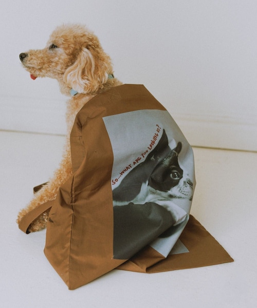 ROPE' PICNIC（ロペピクニック）の「【DOG MAGAZINE×ROPE' PICNIC】フォトトートバッグ（トートバッグ・レディース・ダークブラウン/ブルー/イエロー・F）」の6枚目の写真