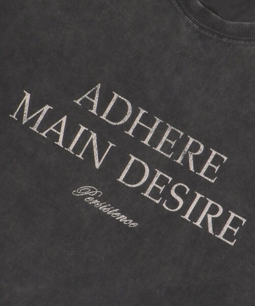 ITEMS URBANRESEARCH（アイテムズ アーバンリサーチ）の「パウダー加工 天竺半袖Tシャツ（Tシャツ/カットソー・メンズ・American/Lettered/Embroidery・M/L）」の9枚目の写真