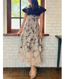 dazzlin | オパールフラワーコルセットワンピース(ワンピース)