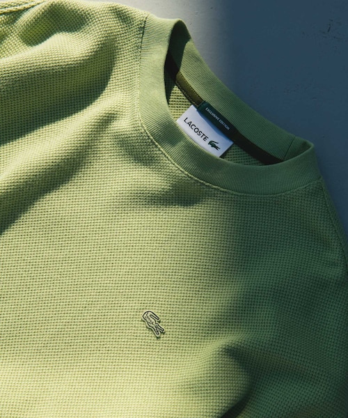 URBAN RESEARCH DOORS（アーバンリサーチドアーズ）の「『別注』LACOSTE×DOORS　THICK PIQUE ROUND LONG-SLEEVE（Tシャツ/カットソー・メンズ・HAMMAM/ABYSS BLUE/BIRCH/BLACK BIRD・3/4/5）」の19枚目の写真