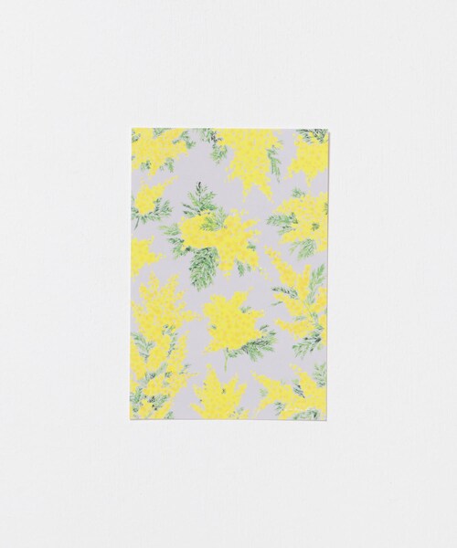 URBAN RESEARCH（アーバンリサーチ）の「はるかぜ染色工房　ポストカード（その他雑貨・メンズ・スズラン/野葡萄/カモミール/ミモザの花束/アネモネの花束/オリーブ/スミレ/ミモザグレー・-）」の19枚目の写真