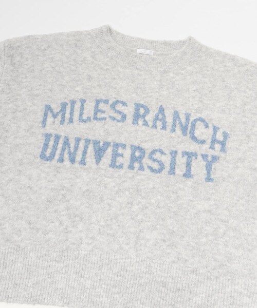 ITEMS URBANRESEARCH（アイテムズ アーバンリサーチ）の「ブークレビッグロゴニット（ニット/セーター・レディース・BRN/L.GRAY/MNT・FREE）」の12枚目の写真